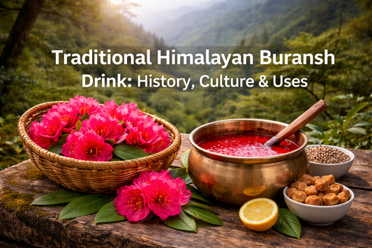 Traditional Himalayan Buransh Drink: History, Culture & Uses